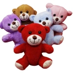 27 cm Renkli Peluş Ayı – Çiçekçiler ve Hediyelikçiler İçin Toptan