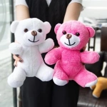 27 cm Renkli Peluş Ayı – Çiçekçiler ve Hediyelikçiler İçin Toptan - Görsel 2