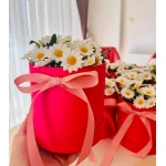 Papatyalı Silindir Kutu Aranjman – Toptan Dekoratif Hediyelik
